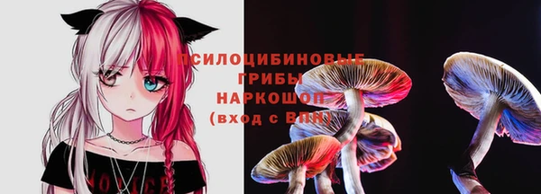 бошки Беломорск