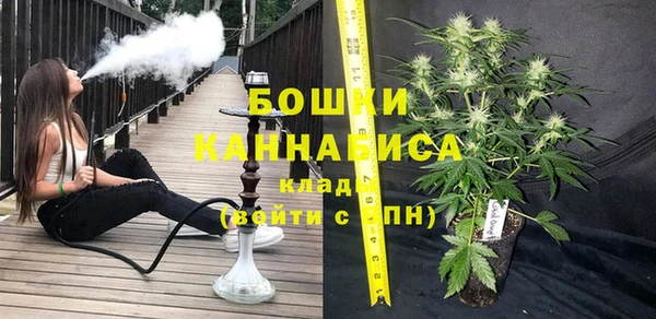 ПСИЛОЦИБИНОВЫЕ ГРИБЫ Аркадак