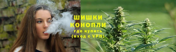 mdpv Белокуриха