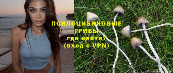 бошки Беломорск